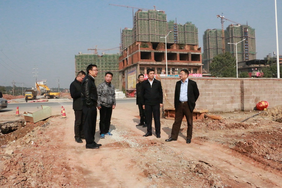 市政府副秘書(shū)長(zhǎng)王云視察重點(diǎn)工程項(xiàng)目