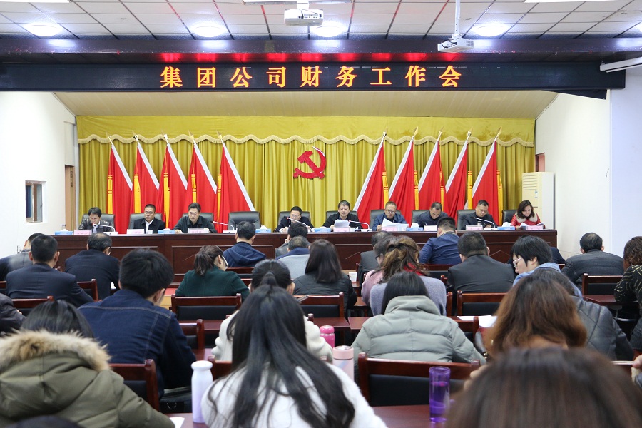 集團(tuán)公司組織召開財(cái)務(wù)系統(tǒng)管理工作會(huì)議