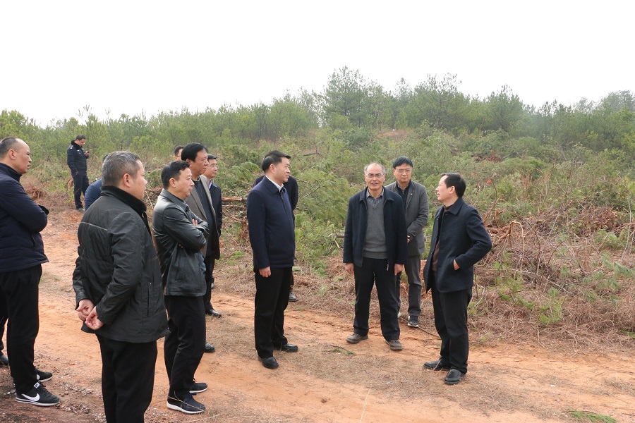 李高興副市長(zhǎng)調(diào)研市垃圾焚燒發(fā)電項(xiàng)目并召開(kāi)座談會(huì)